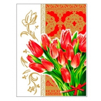 пакет ПП лам. с клеевым клапаном 25х32 в асс./50 *