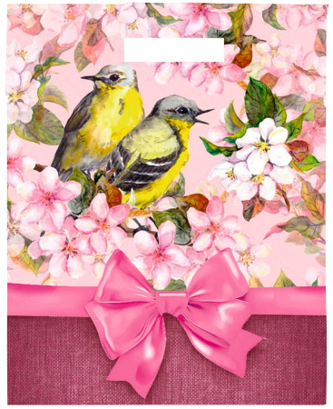 пакеты выр.30х40 Весенние птицы 70мкм ЛАМ 2А ШК