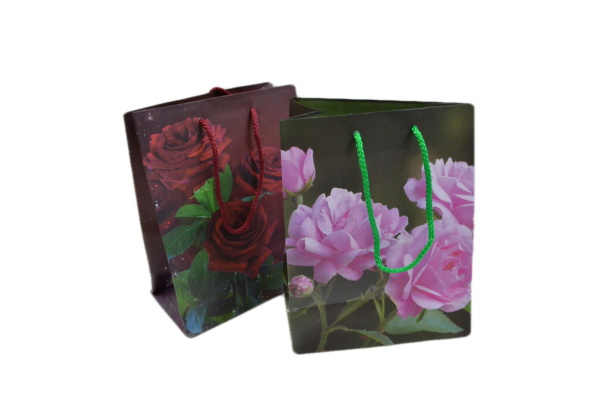 сумка ламин. 26х32 *