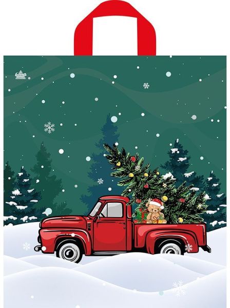 пакет петл. 42х38 Праздник в пути НГ ШК