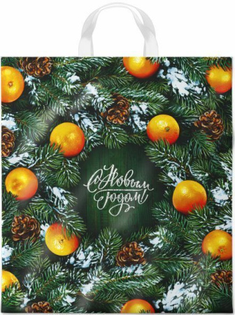 пакет петл. шурш. 38х42 Новогодний базар НГ